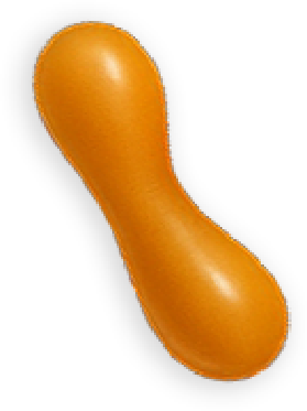 Capa 6