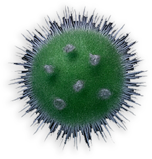 Tongas Hiperrealidades